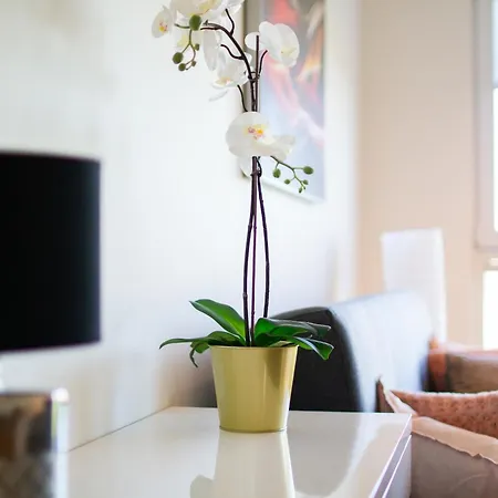 Modern With Parking And Balcony In By Renters דירה *